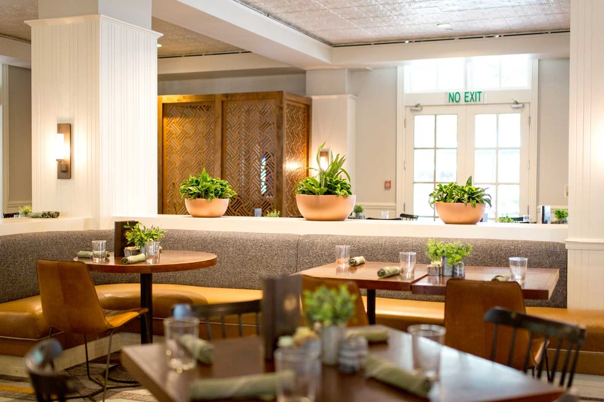 A variety of different sized plant bowls on tables in a hotel dining room