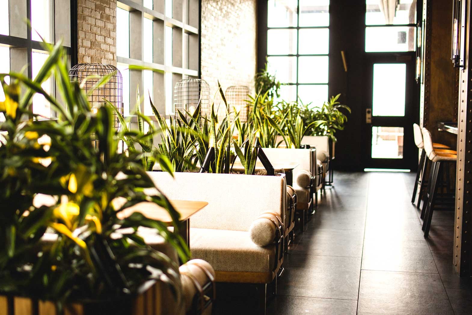 Plants serving as dividers in a hotel restaurant 