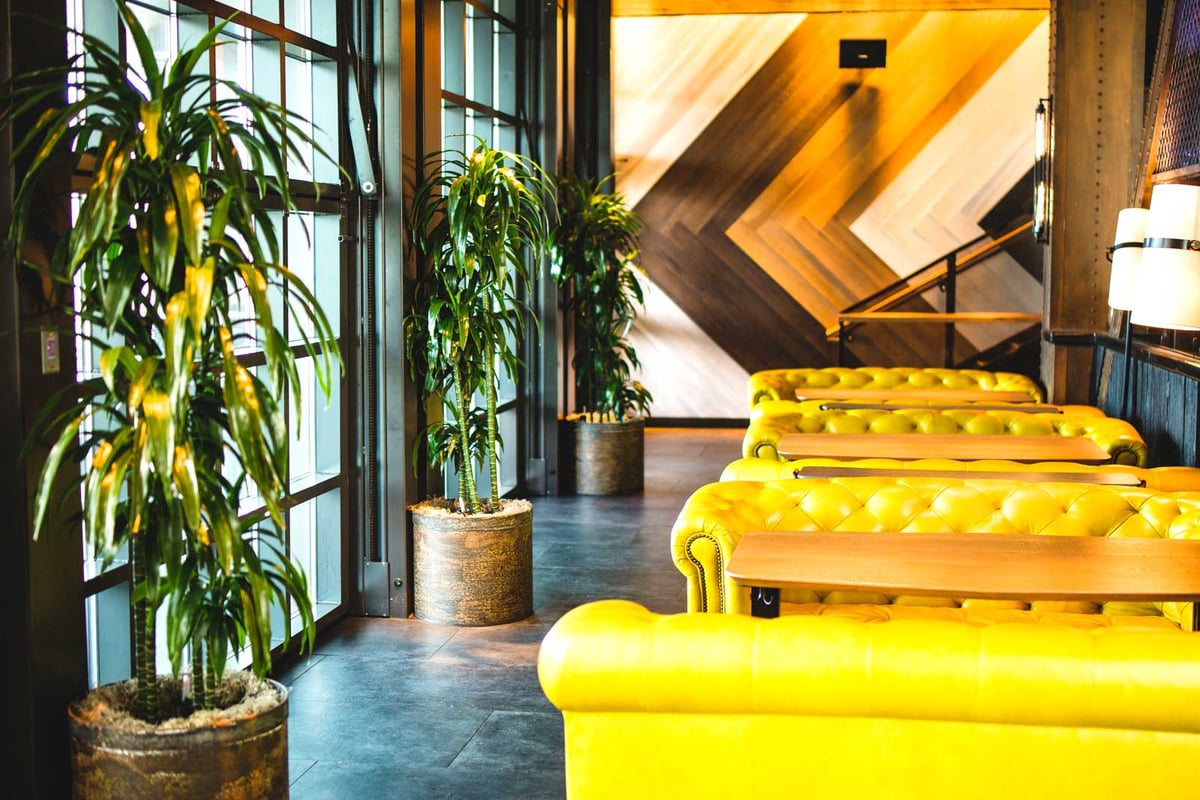 Tall plants in textured containers in a hotel restaaraunt 