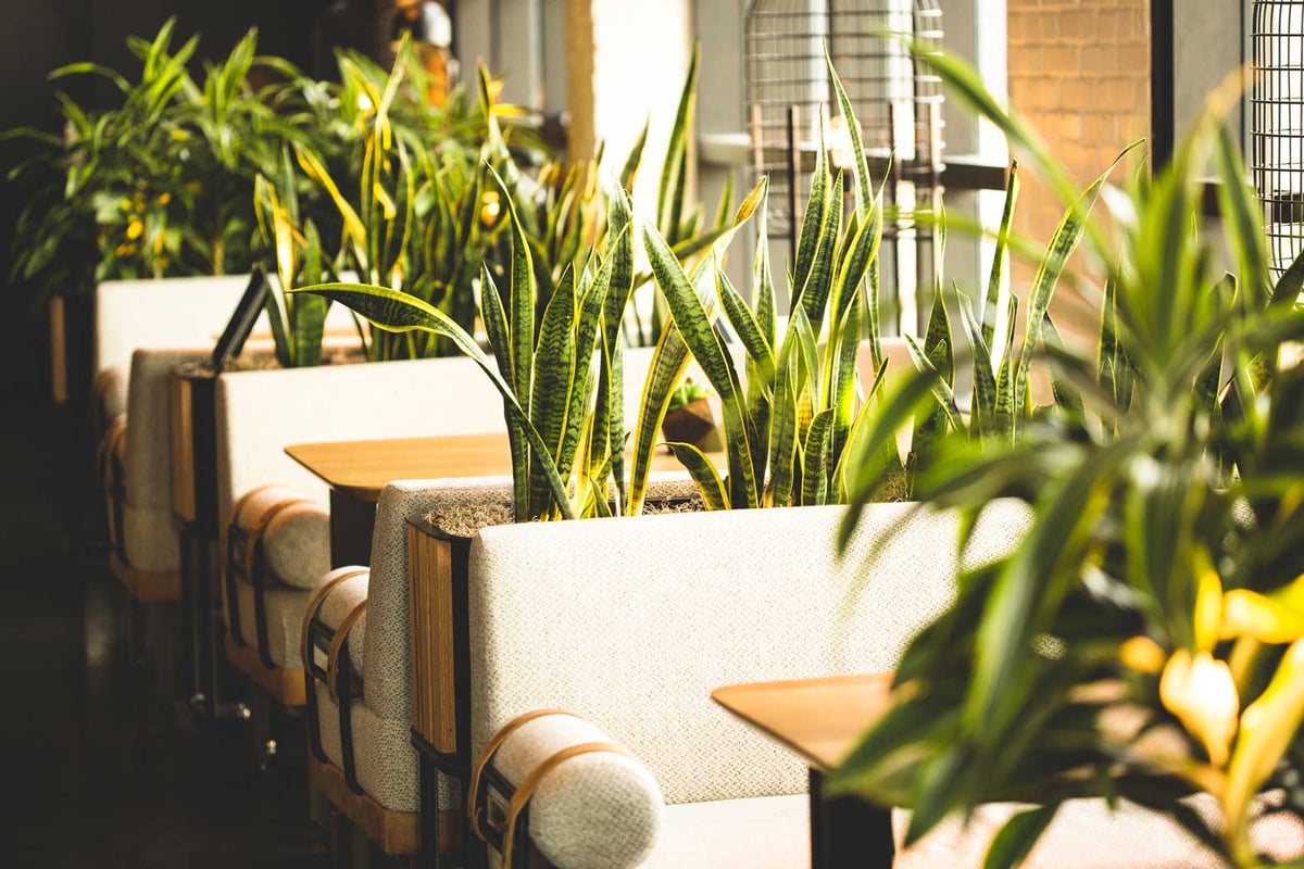 Plants being used as dividers in a hotel restaurant 