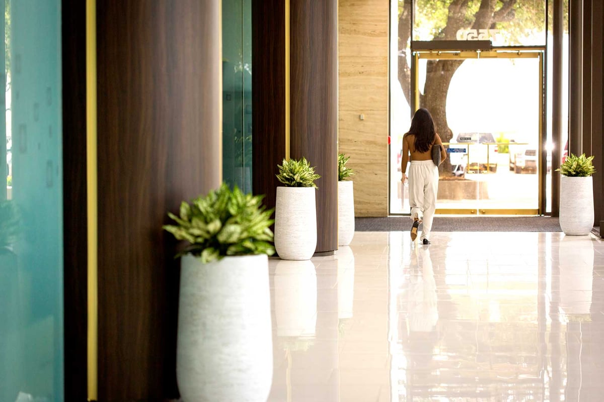 a walkway lined with plants in tall white containers