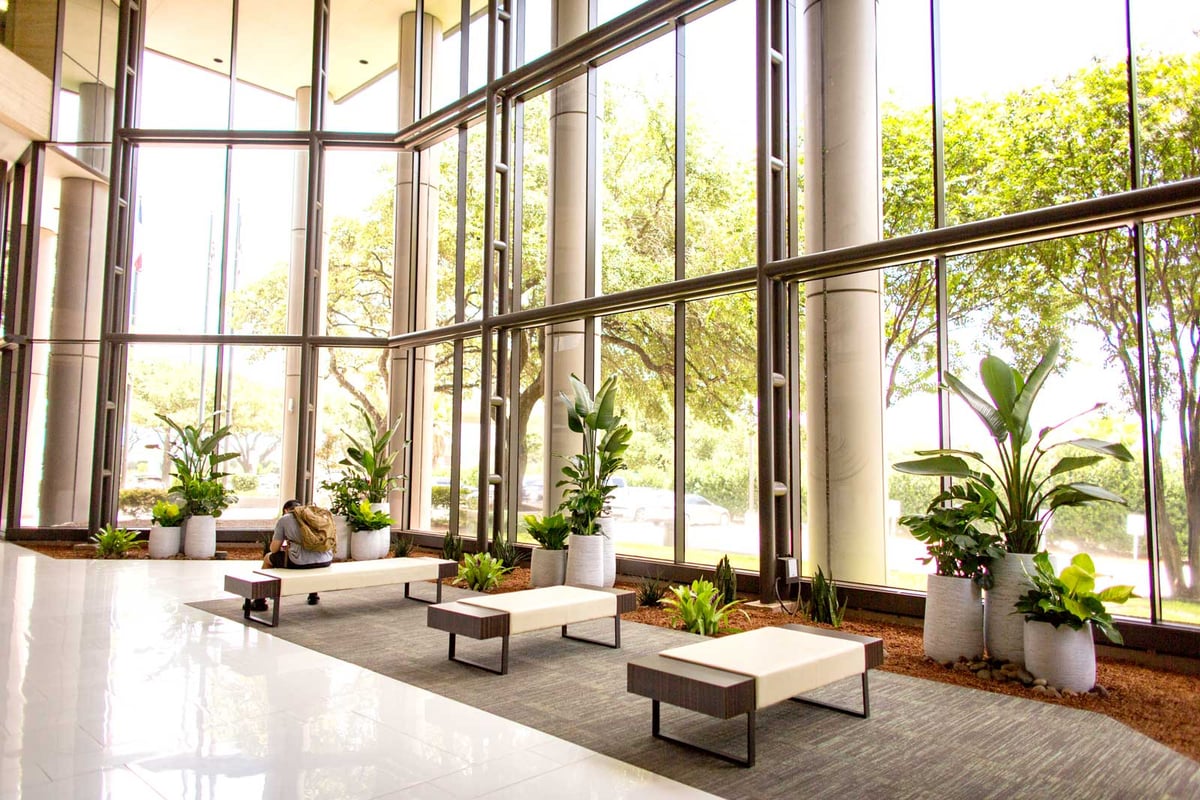 Plants in the lobby of a multi-tenant building