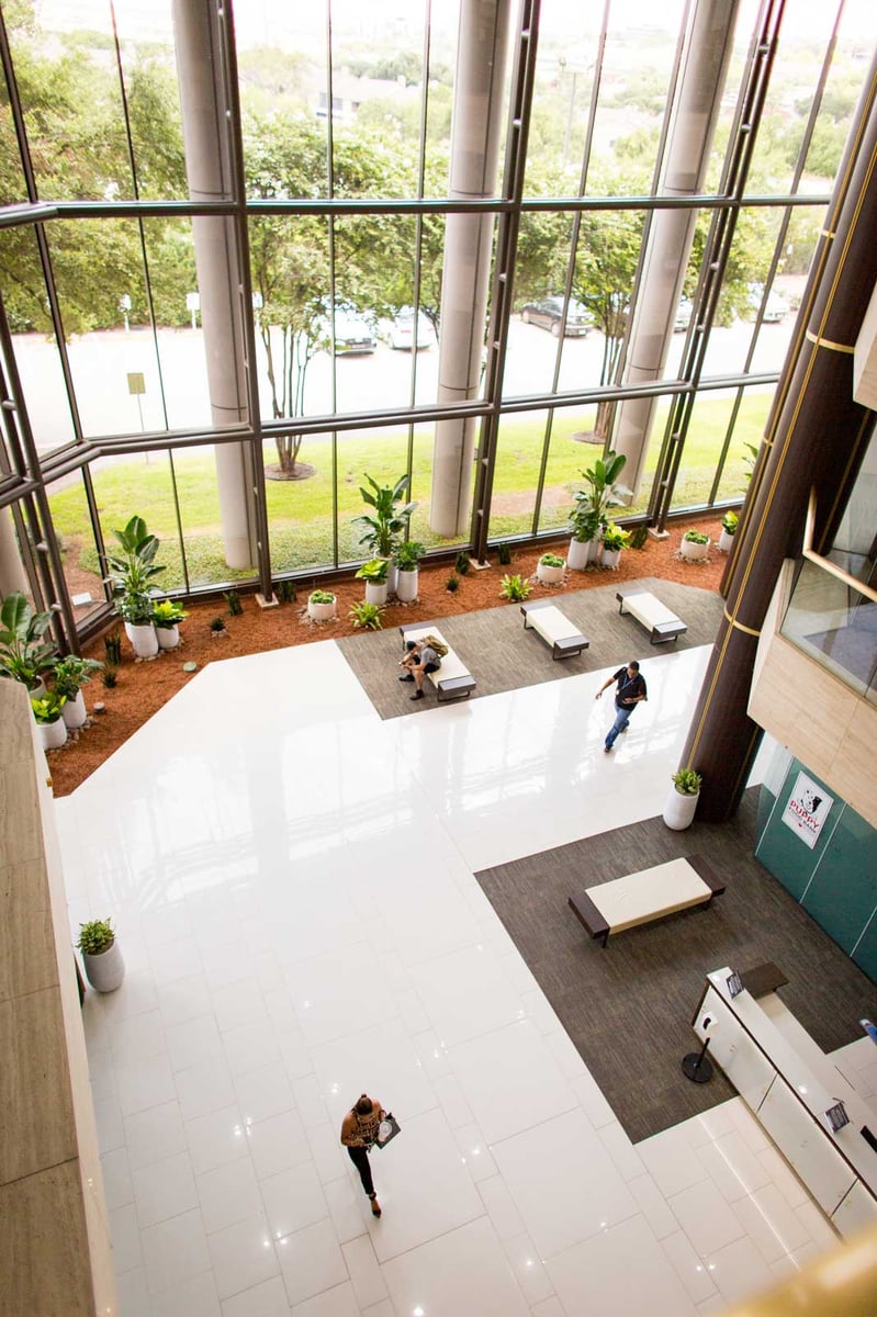 Plants in the lobby of a multi-tenant building