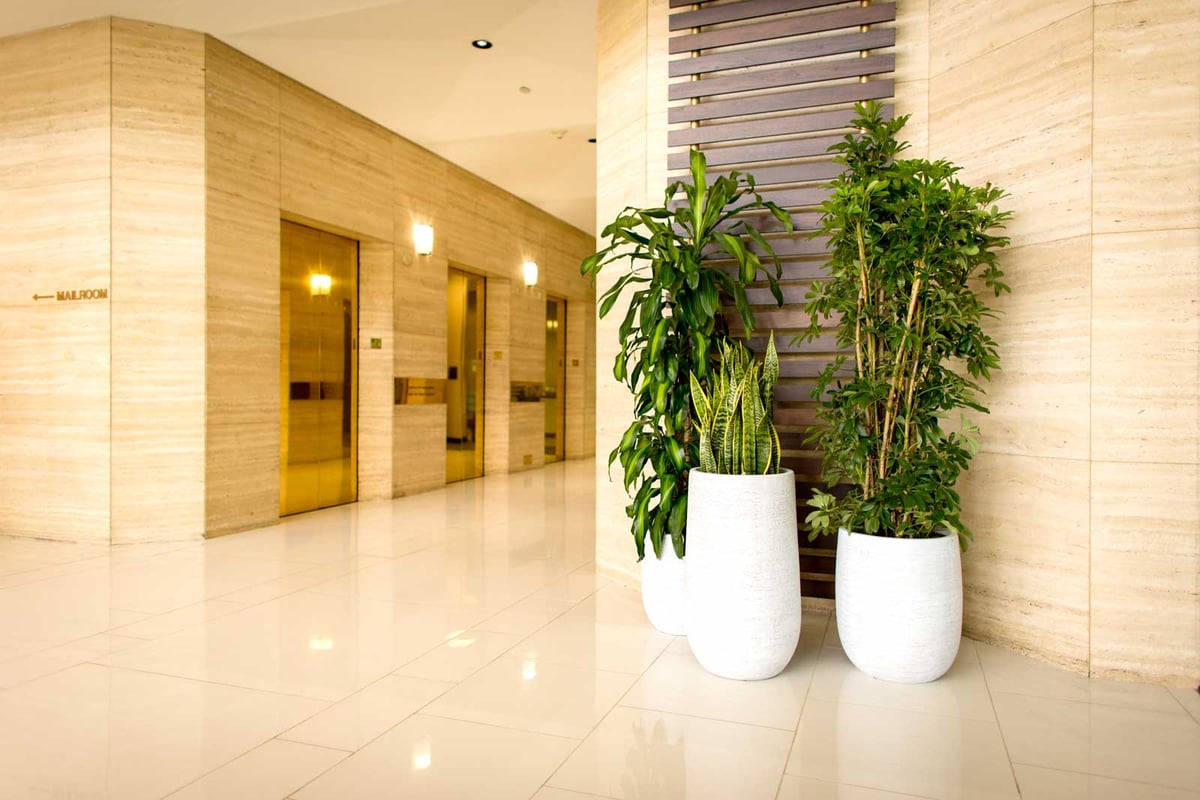 Plants in tall white containers in the elevator bay of an office