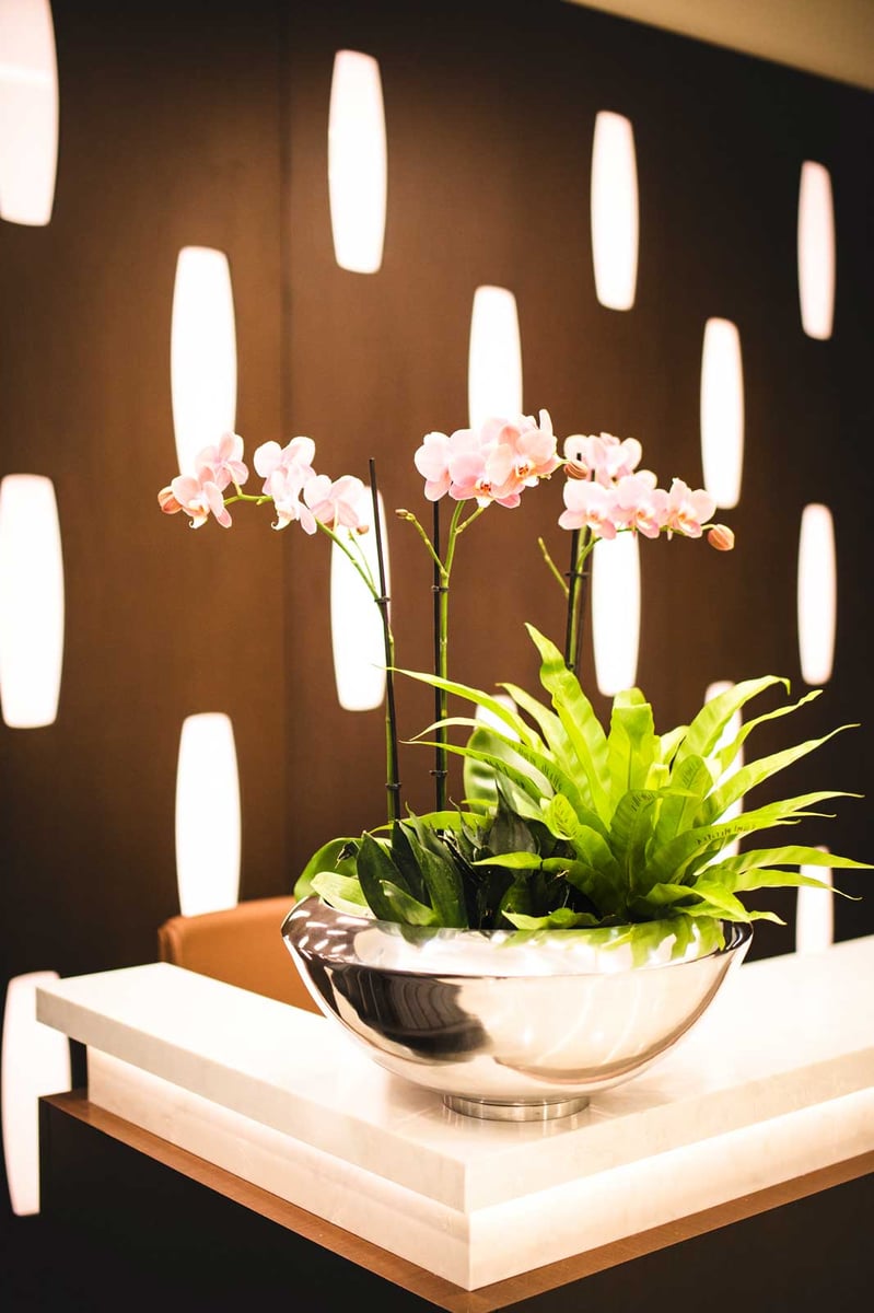 Orchid bowl on a reception desk