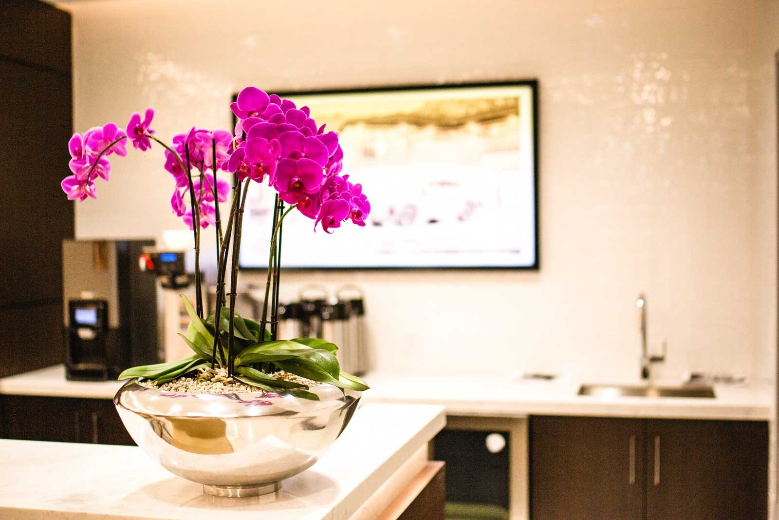 Orchids on an office's kitchen counter