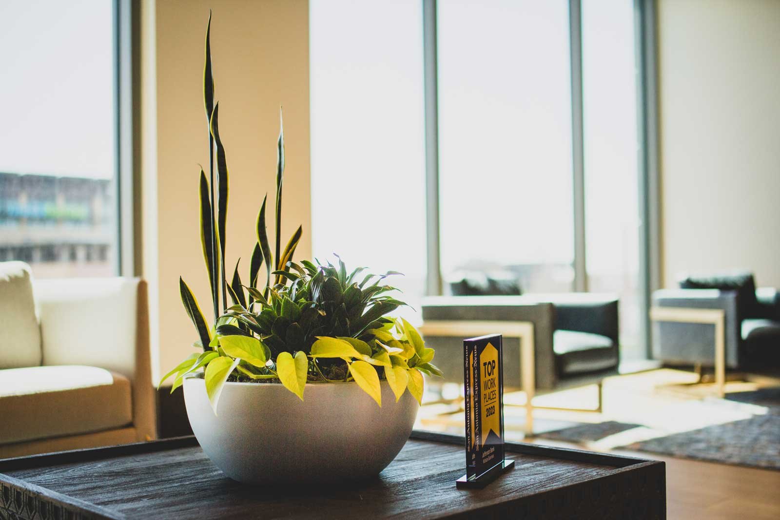Image of a plant on a table at Jefferson bank