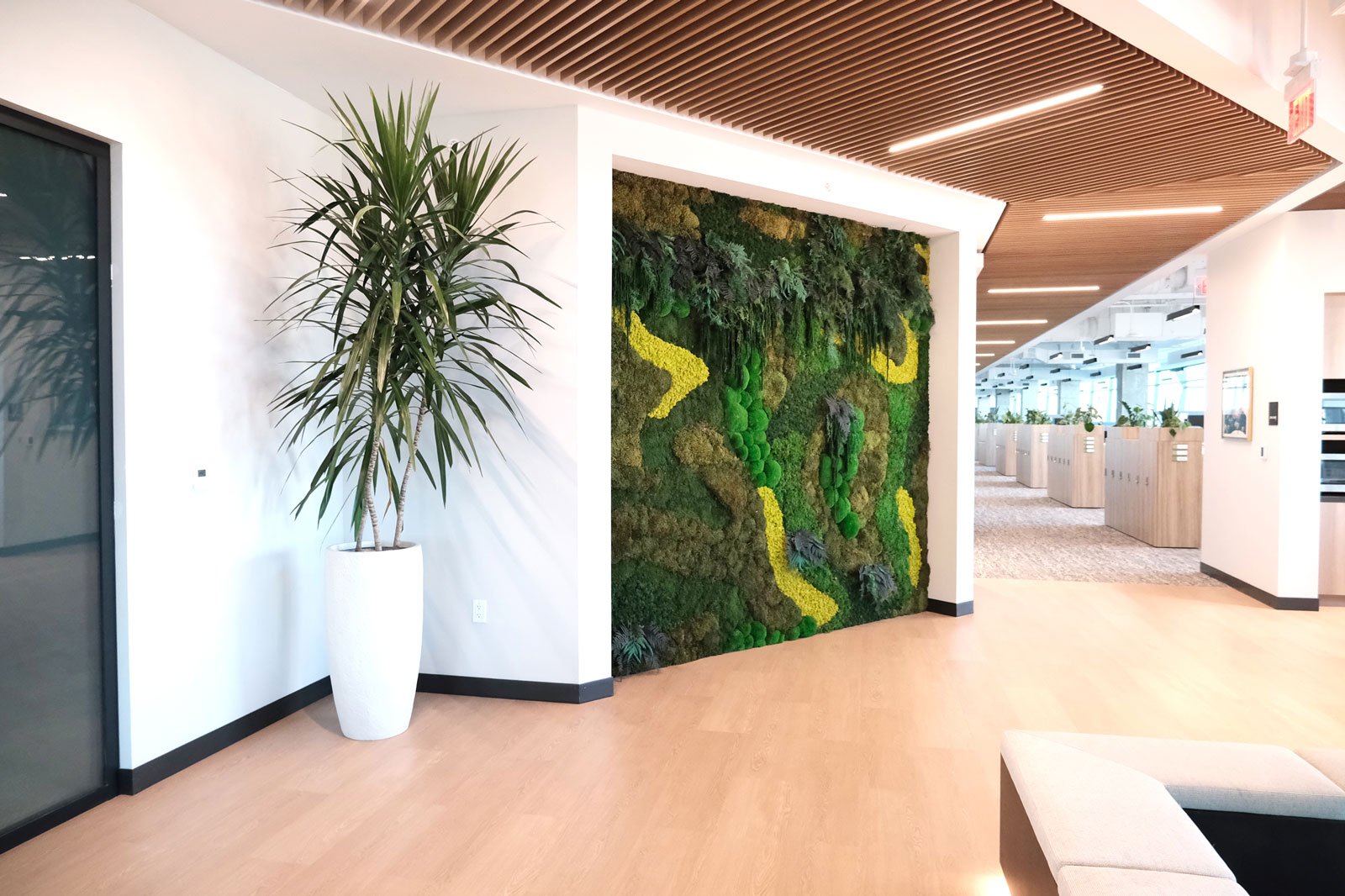 A Moss Wall at Austin's Tokyo electron featuring multi-colored moss and preserved plants