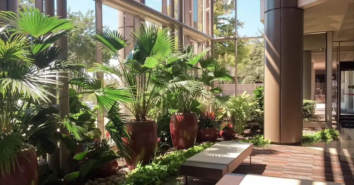 Northwest Center with a lot of plants by the window