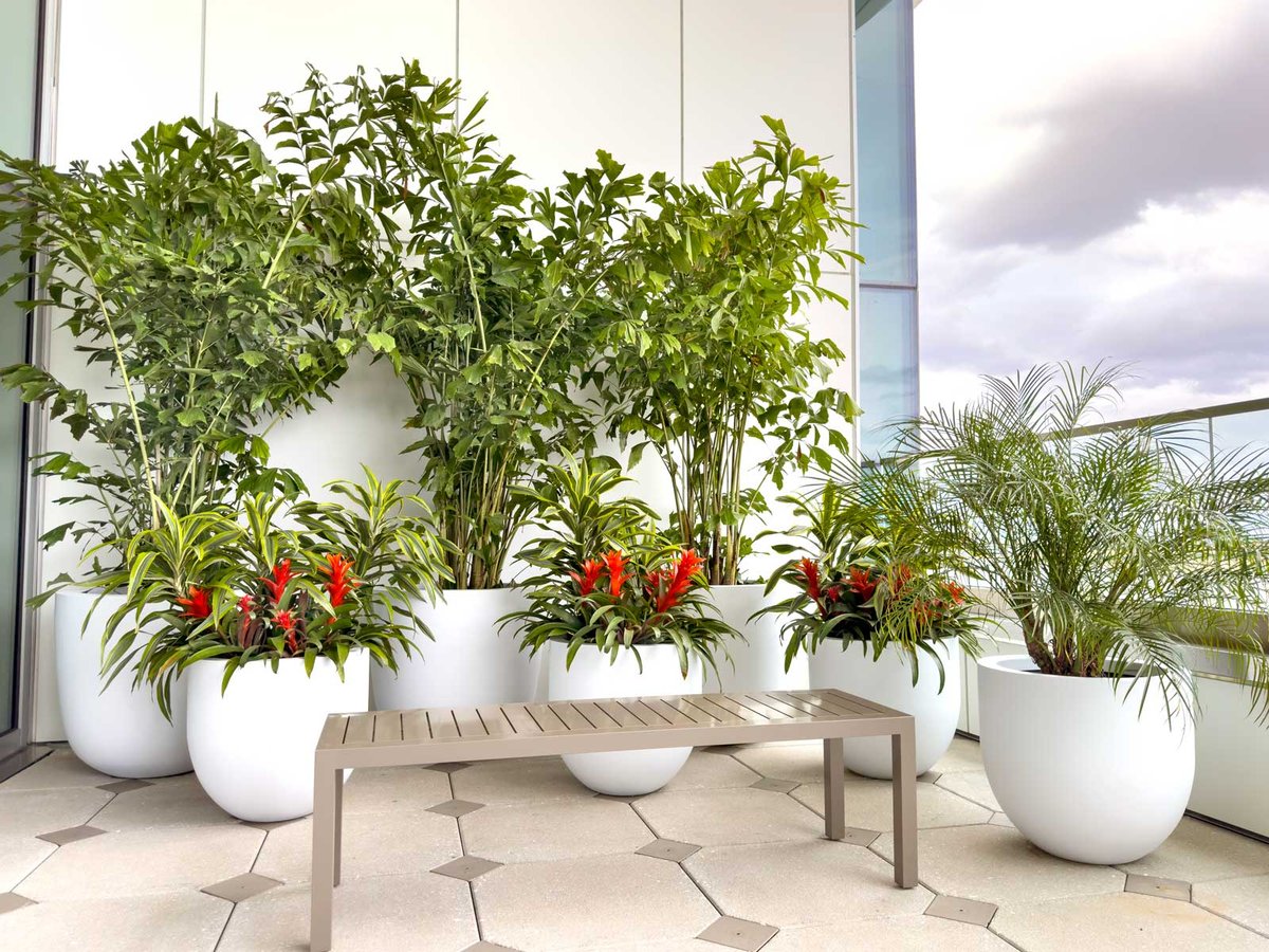 Hospital balcony with a variety of plants, palms, and flowers