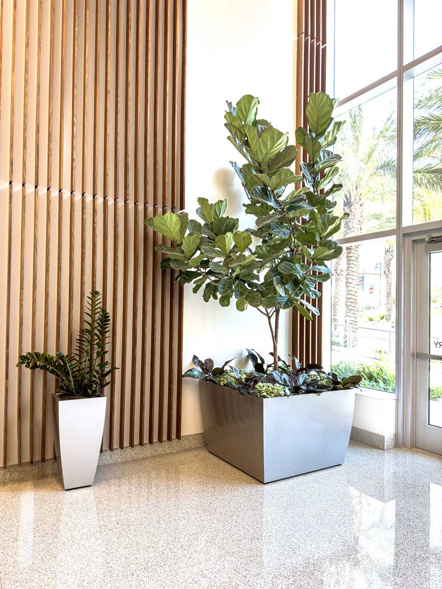 Hospital entryway with a variety of plants