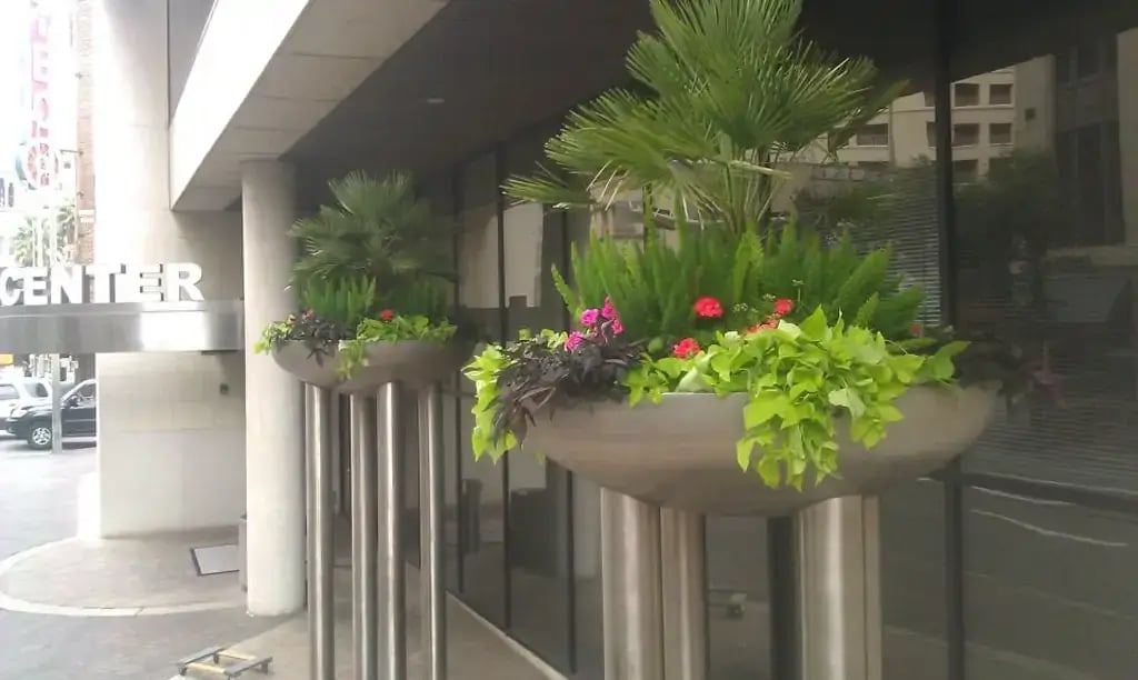 Exterior of an office with hanging bowls with a variety of plants and flowers