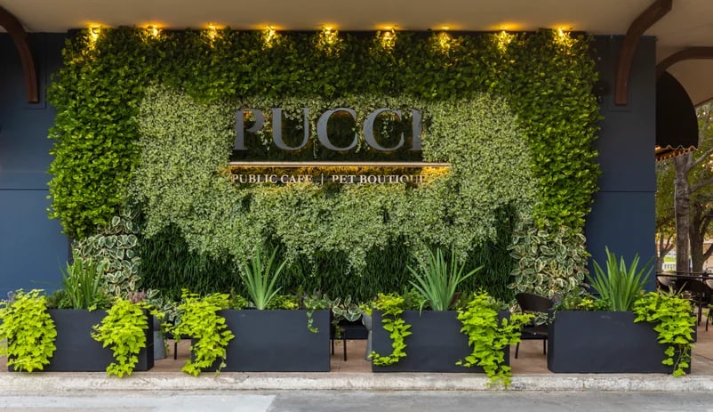 PUCCI Café & Dog Boutique (1)