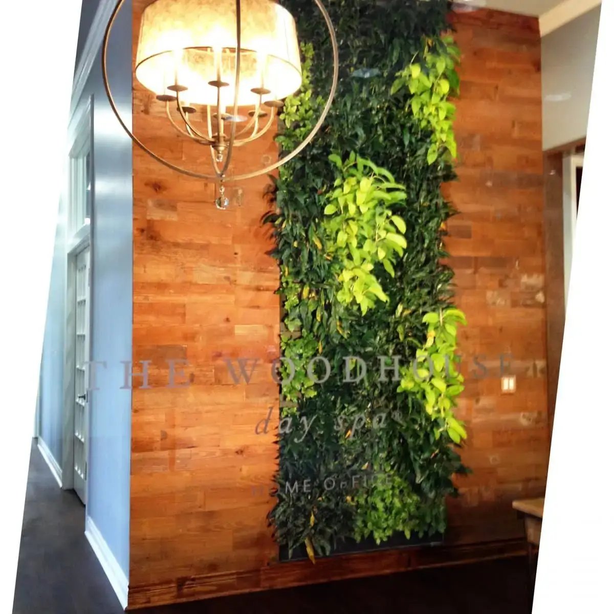 Living/ green wall, spa interior