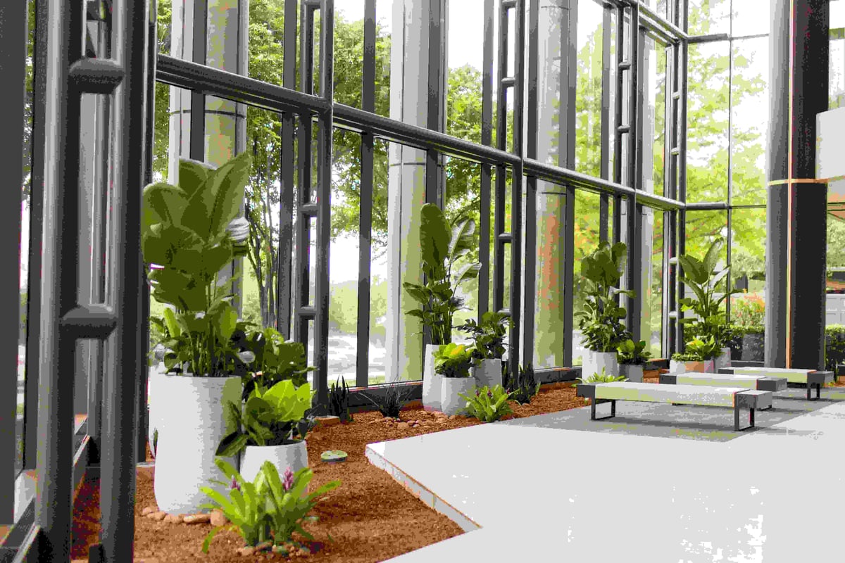 Indoor plants in front of window