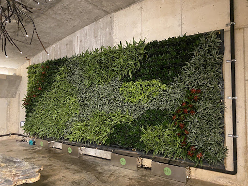 a living wall with mixed plants 