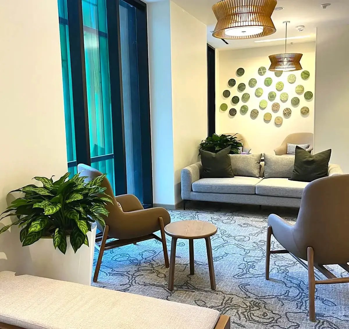 plants in a waiting area