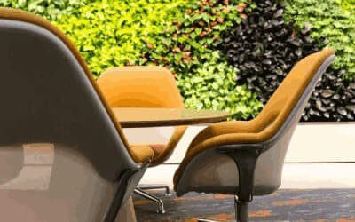 Living indoor plants by Natura