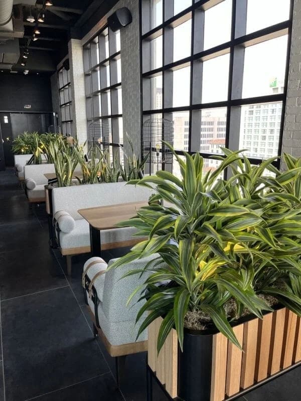 Natura adding indoor plants seperating tables