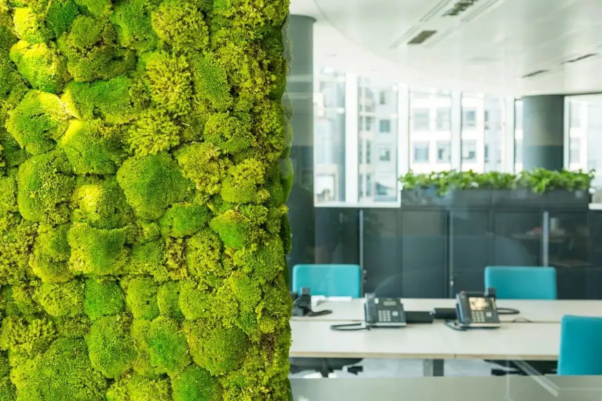 Moss wall next to a glass window