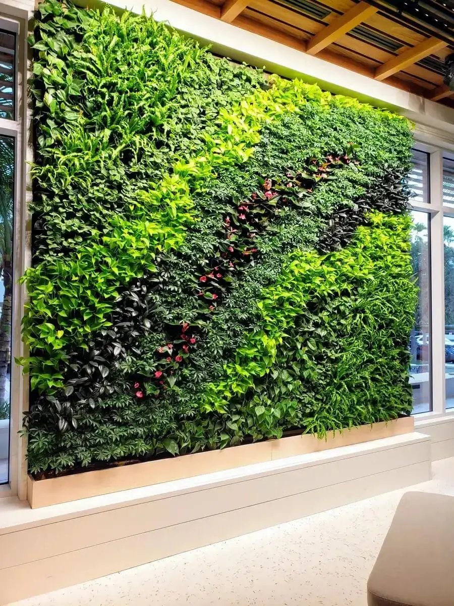 A plant wall and living wall 