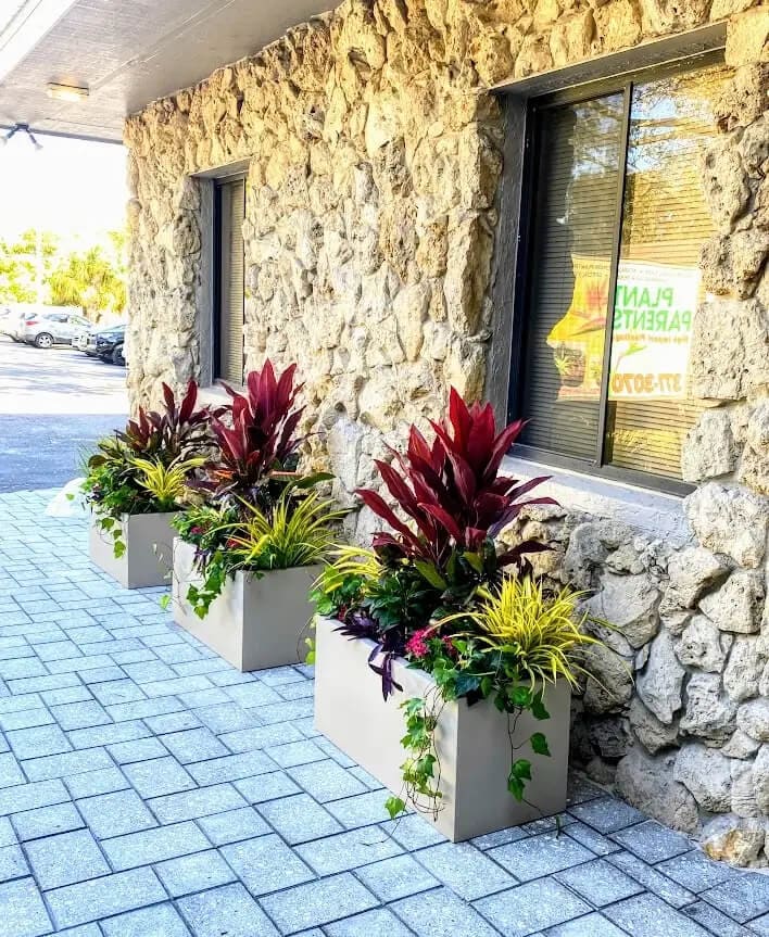 Pot Plants outside a building 