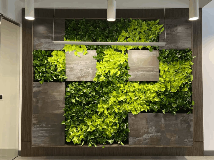 Green living wall at Brookfield Properties-Dallas done by Natura