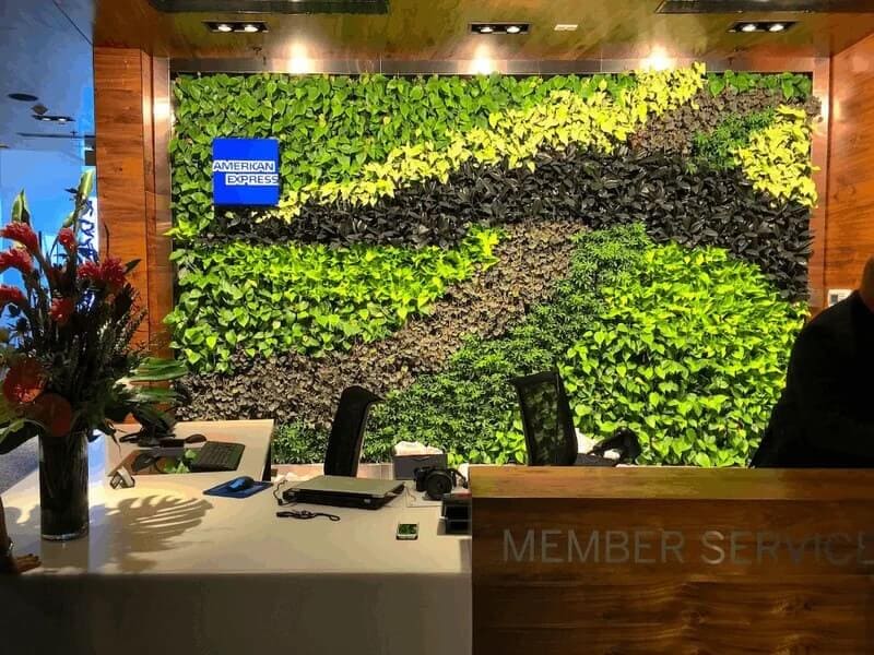 a living wall at the entrance of a business 