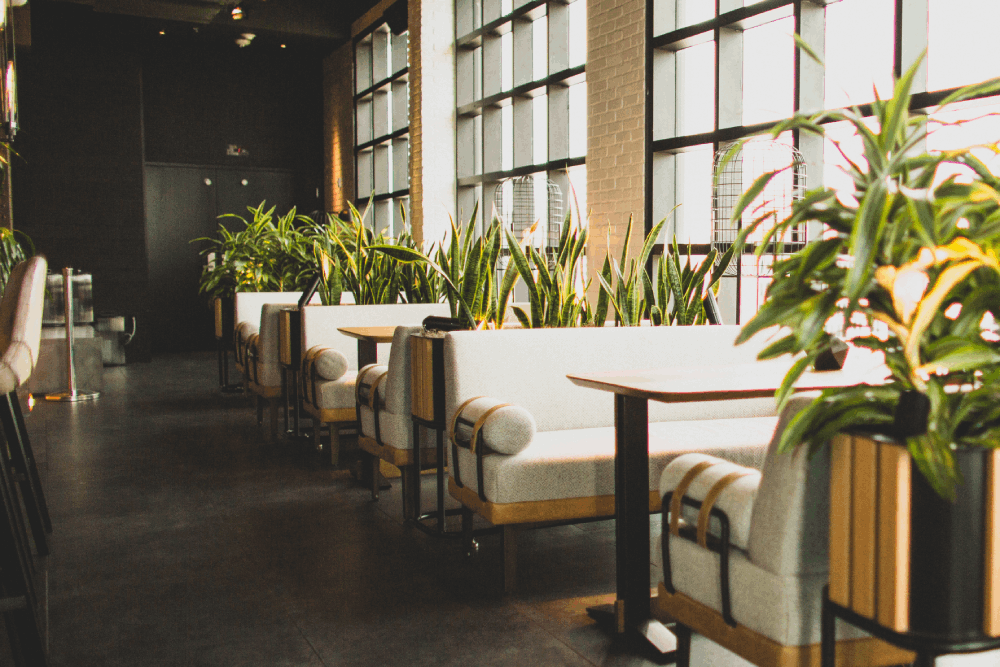 Hotel restaurant with indoor plants as dividers