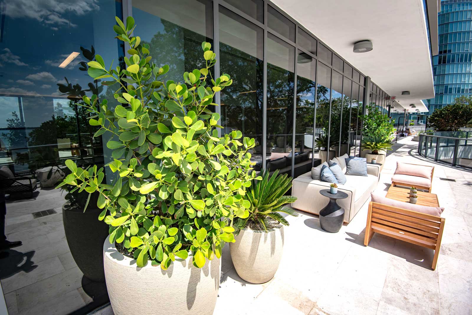 office plant companies in florida