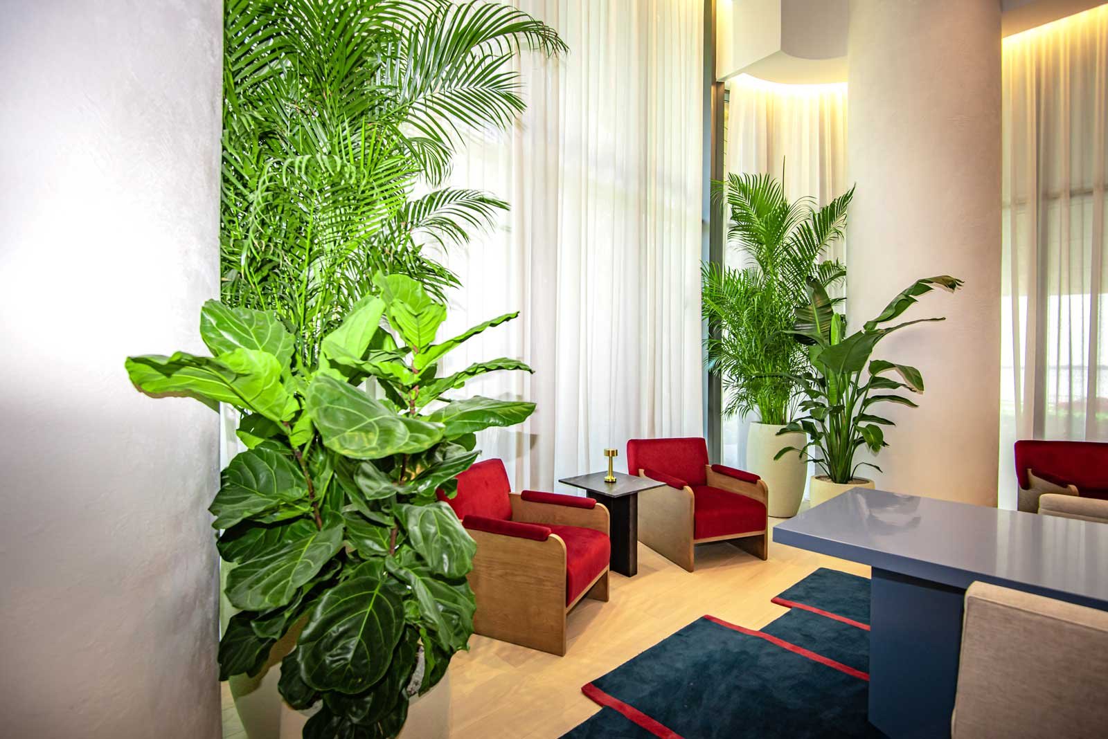 plantz tampa
