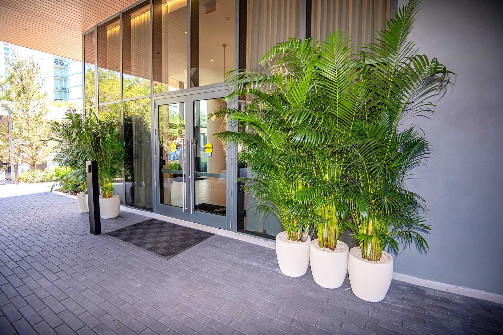 vartical garden company