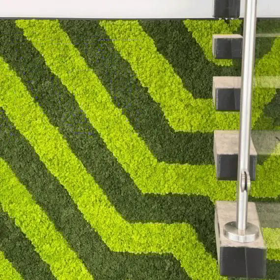 The_Edison-Moss_Wall-Design-NaturaHQS.Lobby03-570x570-1
