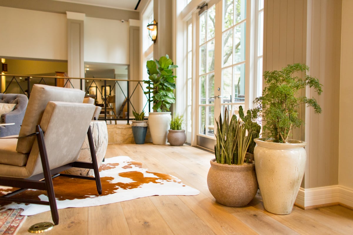 A hotel lobby featuring a variety of indoor plants in multi-colored stone containers