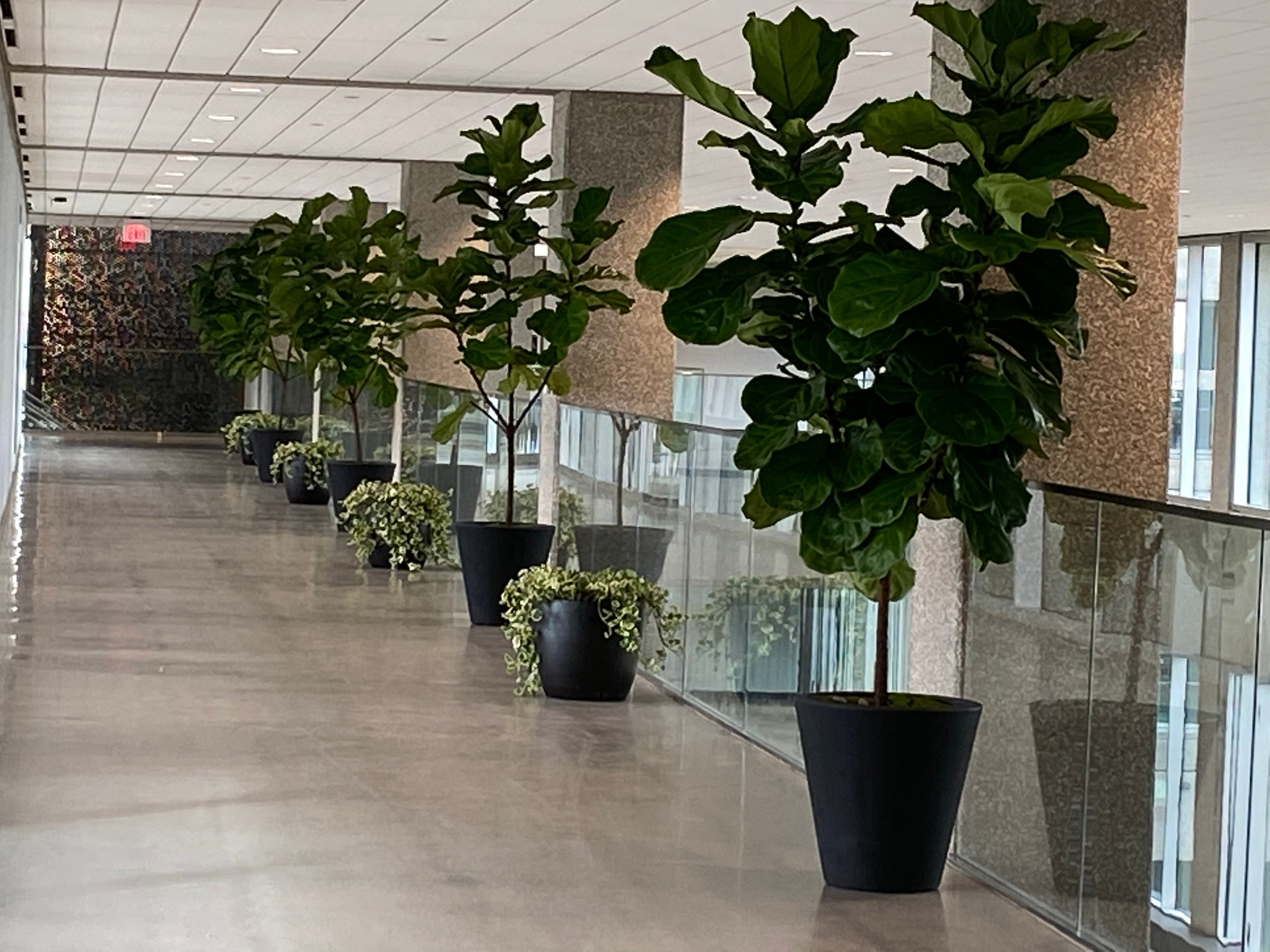 VSLC Walkway floor 3