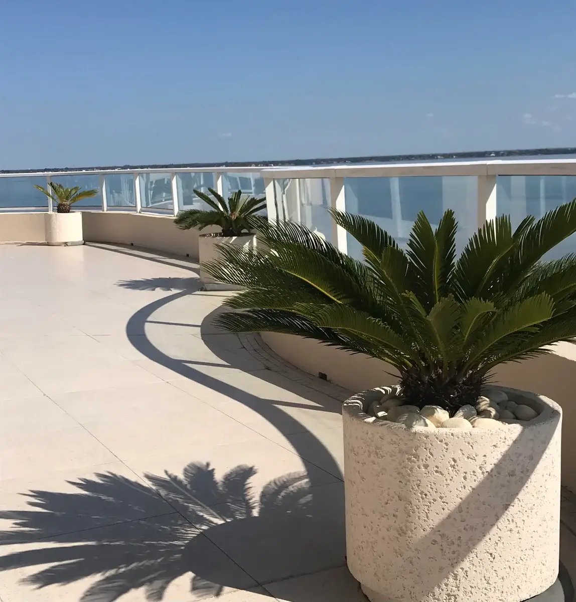 three pot plants outside by a balcony