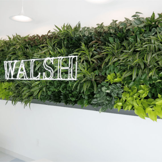 Green wall at Walsh done by Natura