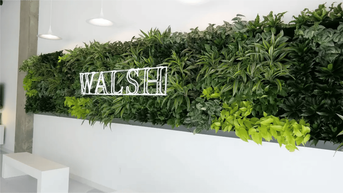 Walsh green / living wall, office interior