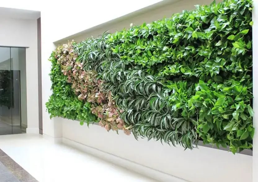 living-wall-gallery3-1
