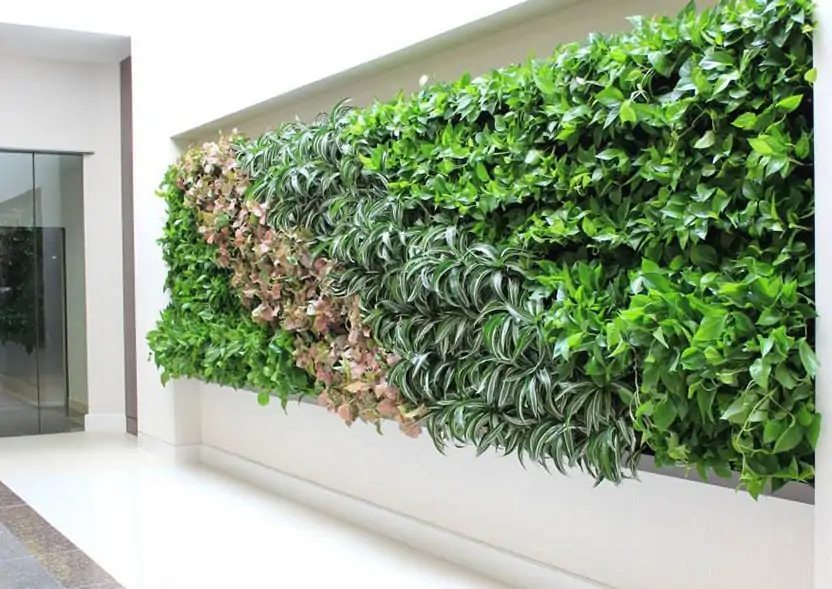 living-wall-gallery3