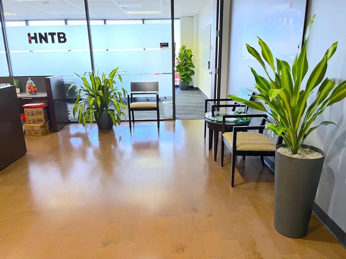 office space with potted plants