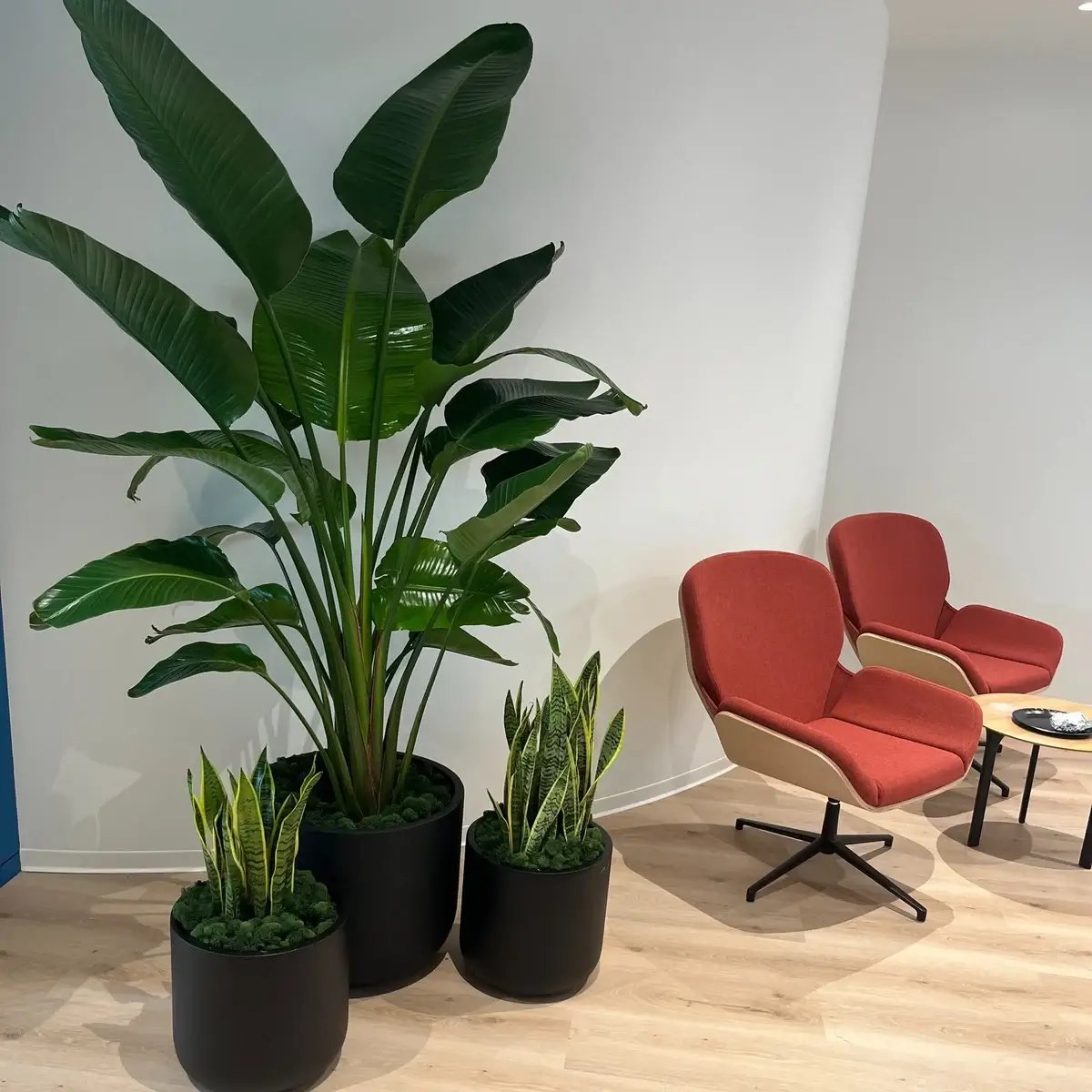 lobby space with potted plants
