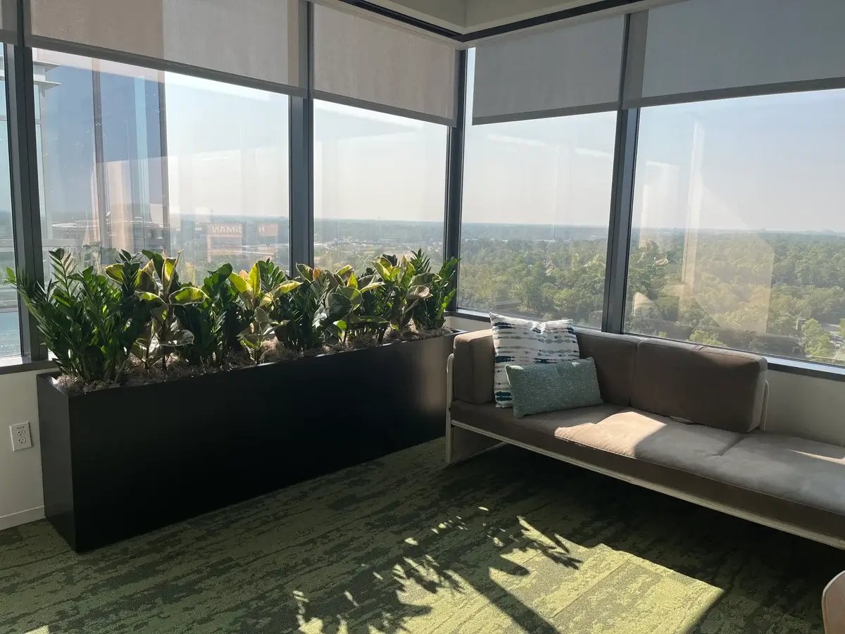 Office space with potted plants