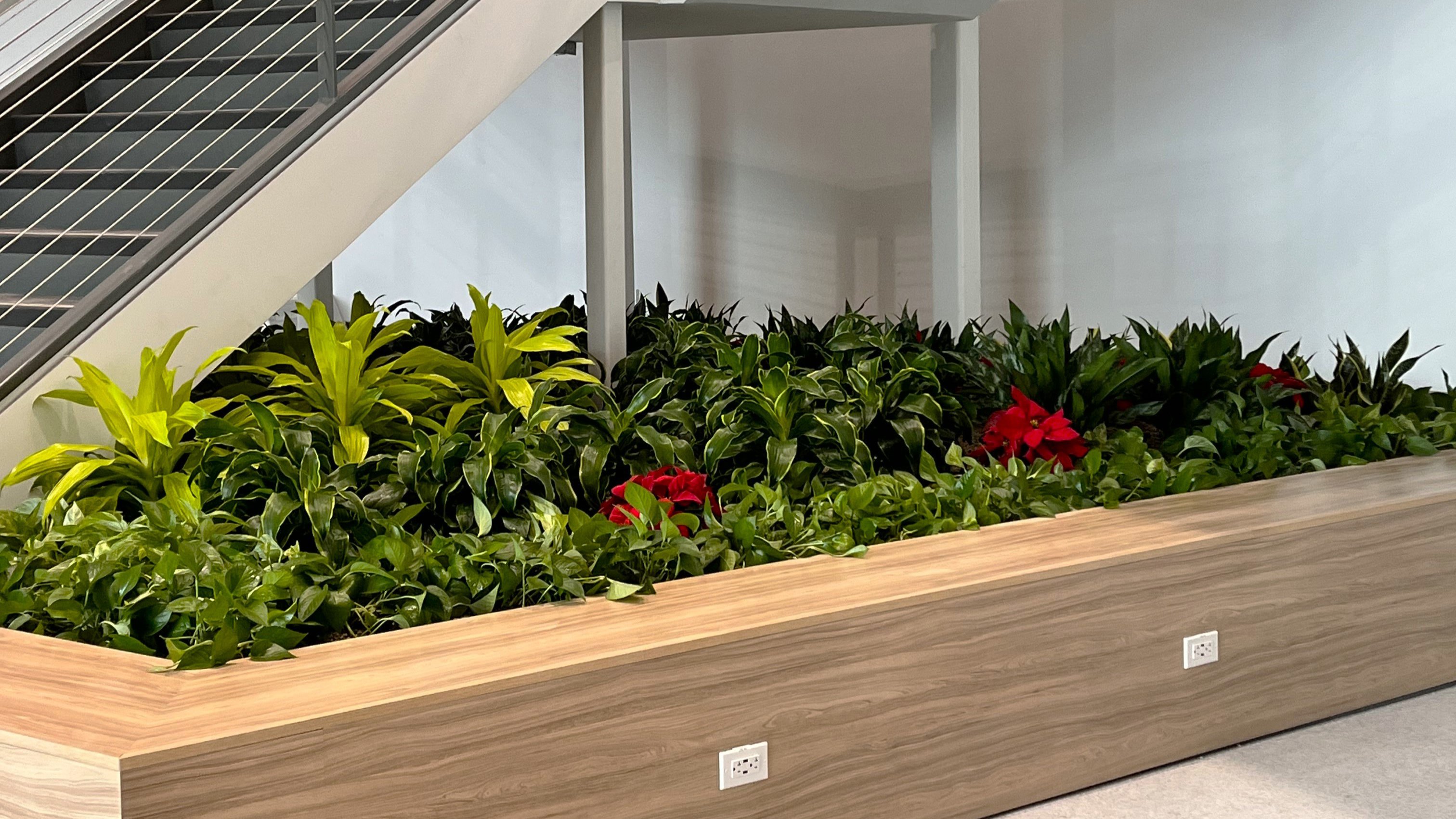 Biophilic Design for Office Buildings 