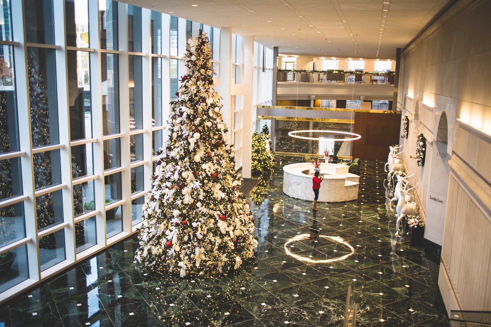 Christmas tree in a lobby