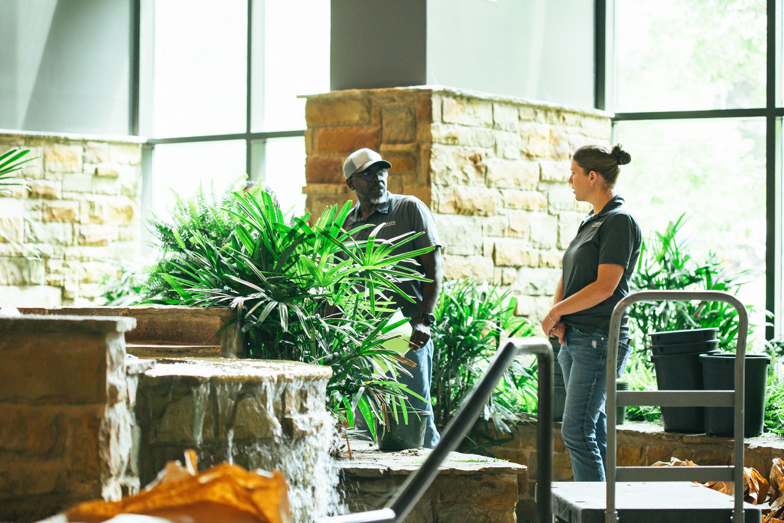 How much does corporate interior plant service cost in 2026