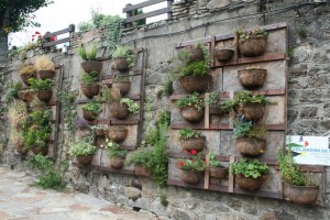 living wall designs 