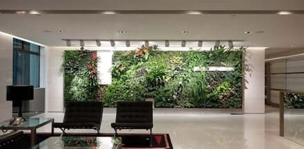 Plants hanging on the walls in the workplace environment, and two black chairs.