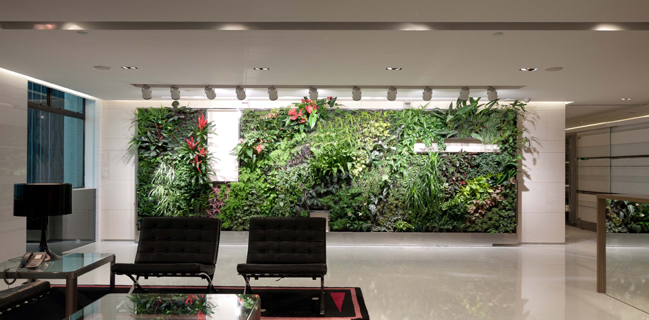 Living wall in a corporate office