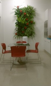 Office table and chairs with the inerior plant on the side